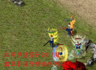 ��ο�������2017ħѪ��ְҵ�����ɫ�ȼ���