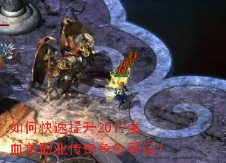 ��ο�������2017ħѪ��ְҵ�����ɫ�ȼ���