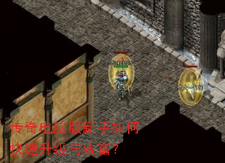 ������԰�������ο����������¸���