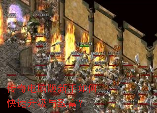 ������԰�������ο����������¸���