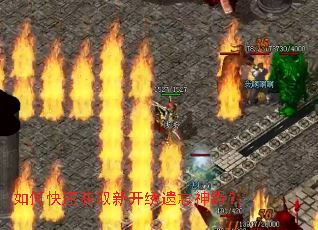 ��ο��ٻ�ȡ�¿�������������