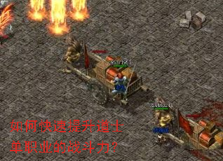 ��ο���������ʿ��ְҵ��ս������