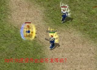 ��ο�������ѪȾ�����ȼ���