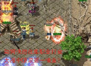 如何快速在单职业打金大服中赚取第一桶金? 如何快速在单职业打金大服中赚取第一桶金?