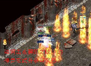 如何击败襄阳之战中的神兽玄武并获取奖励? 如何击败襄阳之战中的神兽玄武并获取奖励?