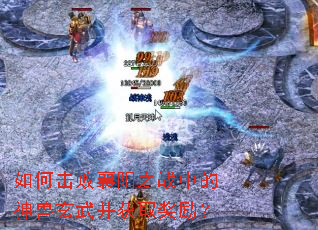 如何击败襄阳之战中的神兽玄武并获取奖励? 如何击败襄阳之战中的神兽玄武并获取奖励?