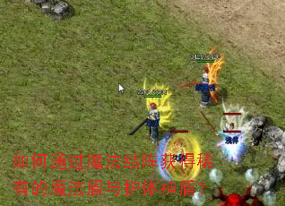 如何通过魔法结阵获得稀有的魔法盾与护体神盾? 如何通过魔法结阵获得稀有的魔法盾与护体神盾?