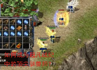 如何成为超凡战纪中的顶尖驯兽师? 如何成为超凡战纪中的顶尖驯兽师?