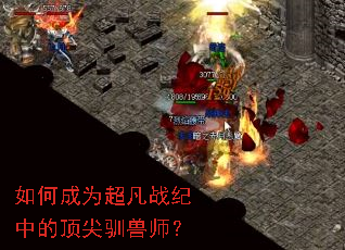 如何成为超凡战纪中的顶尖驯兽师? 如何成为超凡战纪中的顶尖驯兽师?