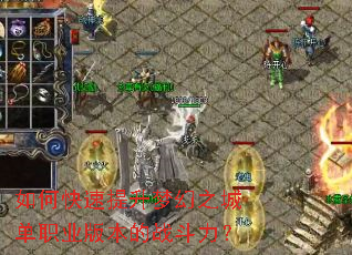 ��ο��������λ�֮�ǵ�ְҵ�汾��ս������