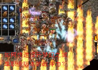 ��ο��������λ�֮�ǵ�ְҵ�汾��ս������