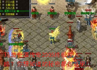 �귨��̷����2005�ռ����ԣ�����֪�������ܶ�������