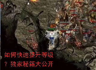 ��ο��������ȼ��������ؼ��󹫿�