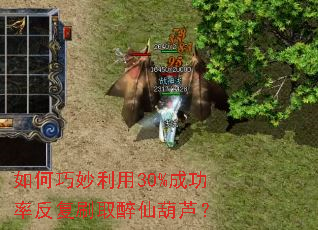 �����������30%�ɹ��ʷ���ˢȡ���ɺ�«��