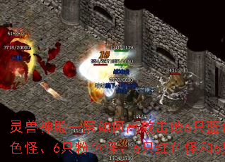 �������һ����θ�Ч����6ֻ��ɫ�֡�6ֻ��ɫ�֡�6ֻ��ɫ�֡�6ֻ��ɫ�ֺ�6ֻ��ɫ�֣�