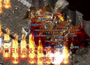 ���ջ����ڣ�������ο��ٳ�Ϊ�������