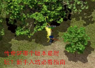 ����SF�ĸ��汾�����棿������ӱؿ�ָ��