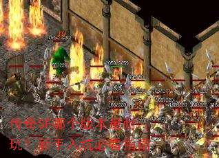 ����SF�ĸ��汾�����棿������ӱؿ�ָ��