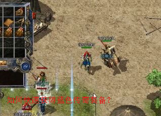 ��ο��ٻ����ɫ����װ����