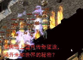 ���̤�����´�����;���ҿ�δ֪��������ܣ�