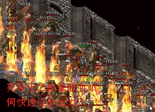 ����ʮ������ְҵ��ο�������ս����