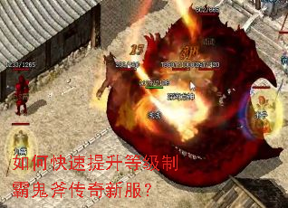 ��ο��������ȼ��ưԹ��������·���