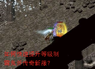 ��ο��������ȼ��ưԹ��������·���