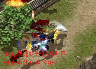 ��ο��������������紫���еĽ�ɫ�ȼ���