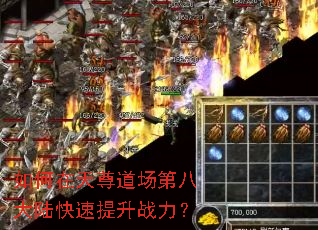 �������������ڰ˴�½��������ս����