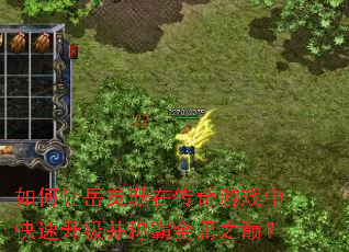 ���������ɺ�ڴ�����Ϸ�п����������ưԽ�ӹ֮�ۣ�