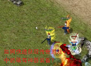 ��ο��ٻ�ȡ������Ϸ�е�ϡ������װ����