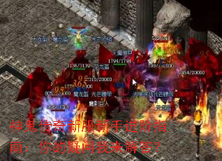 ��������·����ֽ���ָ�ϣ���������������