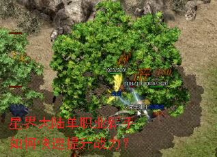 �ǽ��½��ְҵ������ο�������ս����