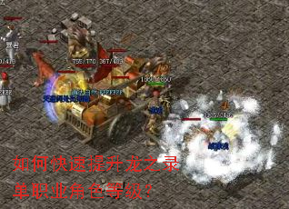 ��ο���������֮¼��ְҵ��ɫ�ȼ���