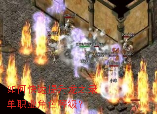 ��ο���������֮¼��ְҵ��ɫ�ȼ���