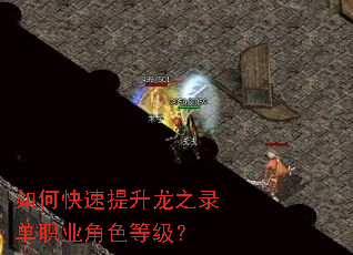 ��ο���������֮¼��ְҵ��ɫ�ȼ���