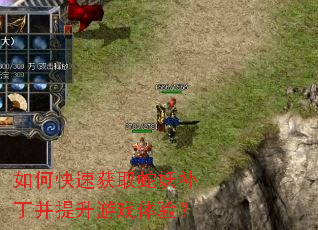 ��ο��ٻ�ȡ����������������Ϸ���飿