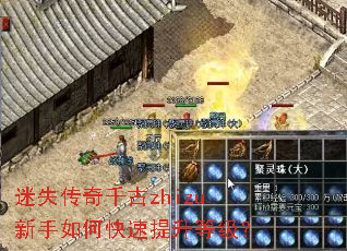 ��ʧ����ǧ��zhizu������ο��������ȼ���