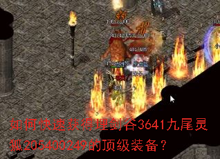 ��ο��ٻ���񽣹�3641��β���205400249�Ķ���װ����