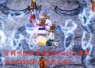 ��ο��ٻ���񽣹�3641��β���205400249�Ķ���װ����