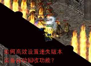 ��θ�Ч������ʧ�汾װ���Զ����չ��ܣ�