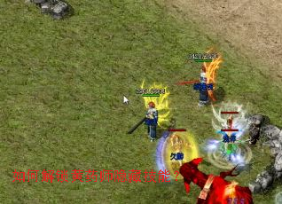 ��ν�����ҩʦ���ؼ��ܣ�