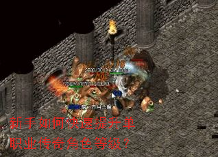 ������ο���������ְҵ�����ɫ�ȼ���