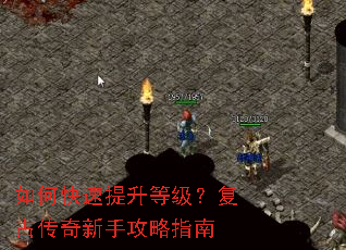 ��ο��������ȼ������Ŵ������ֹ���ָ��