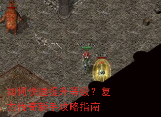 ��ο��������ȼ������Ŵ������ֹ���ָ��