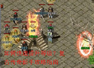 ��ο��������ȼ������Ŵ������ֹ���ָ��