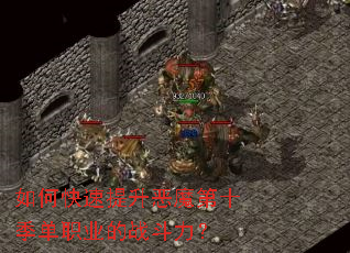 ��ο���������ħ��ʮ����ְҵ��ս������