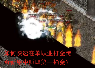 ��ο����ڵ�ְҵ������·���׬ȡ��һͰ��