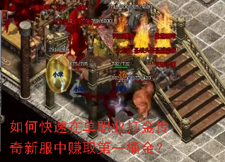 ��ο����ڵ�ְҵ������·���׬ȡ��һͰ��