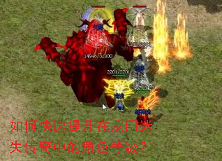 ��ο���������������ʧ�����еĽ�ɫ�ȼ���